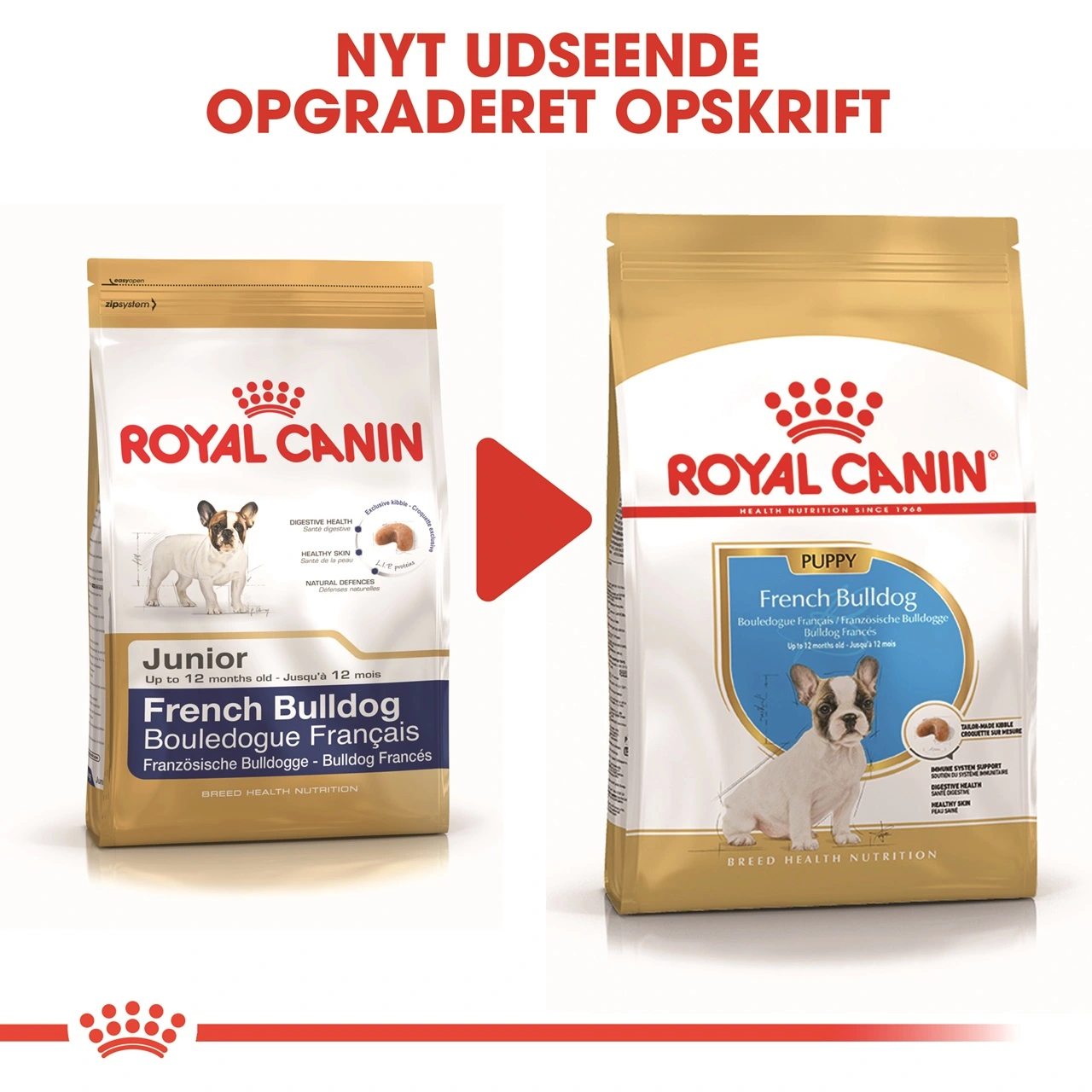 Royal Canin French Bulldog Puppy 10 kg - tørfoder til hvalpe
